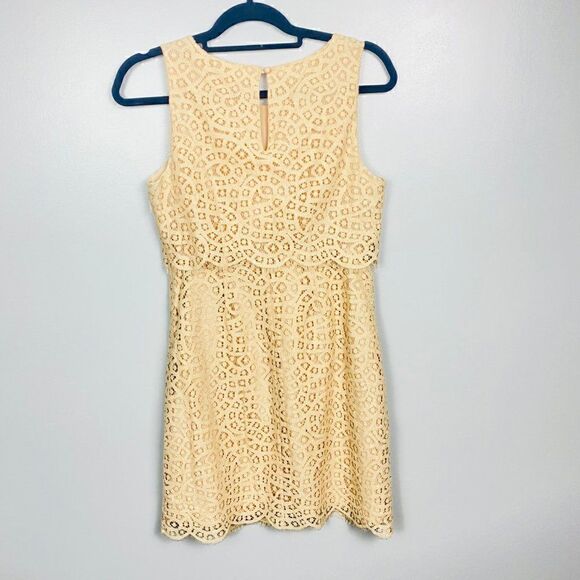 J. Crew Womens Size 4 Blush Pink Sleeveless Tiered Shift Dress in Teardrop Lace - Picture 8 of 10